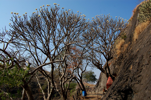 ghorwadeshwar cave temples near Somatane