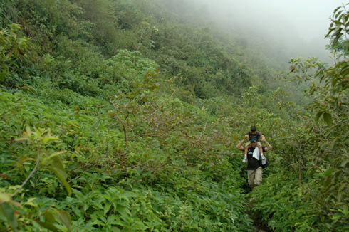 Purandar fort trek