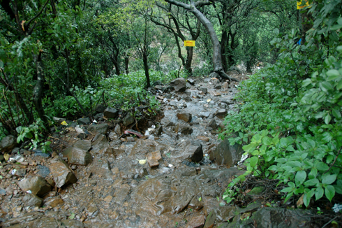 lonavala_waterfall_pune_2